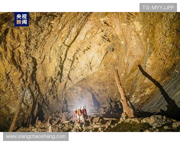 五到十二背后的狼队财务危机